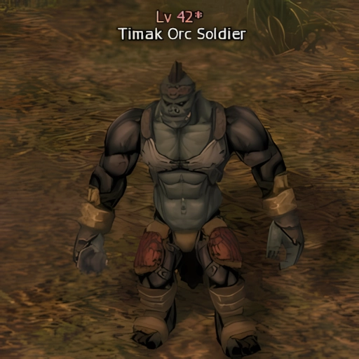 Timak Orc Soldier