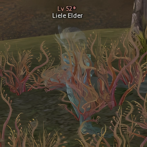 Liele Elder