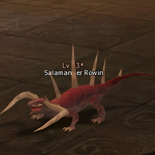 Salamander Rowin