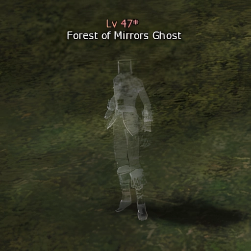 Forest of Mirrors Ghost