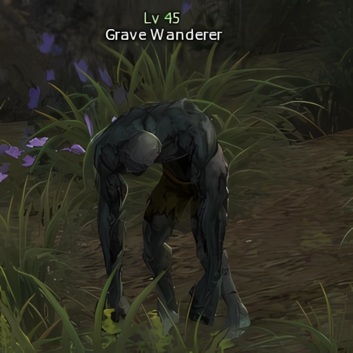 Grave Wanderer
