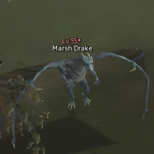 Marsh Drake