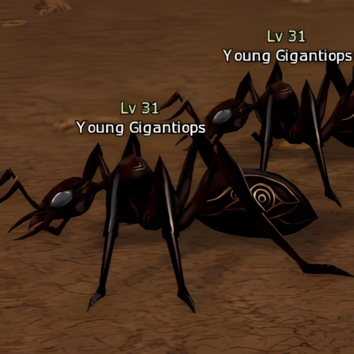Young Gigantiops