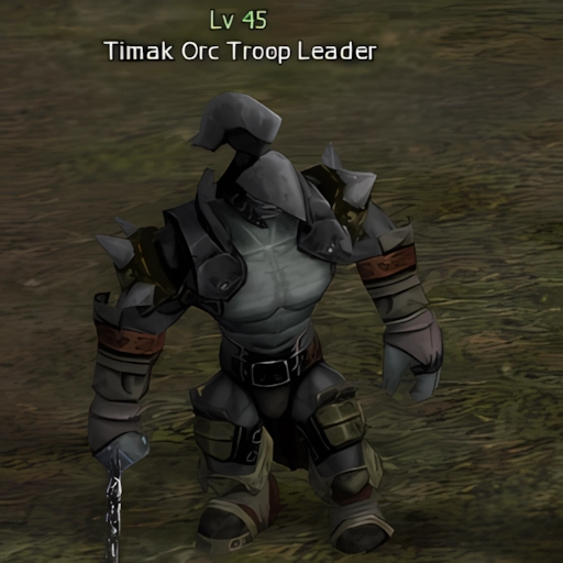 Timak Orc Troop Leader