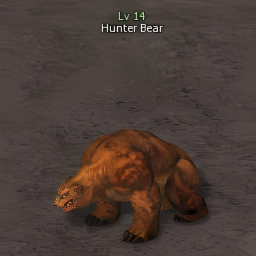 Hunter Bear