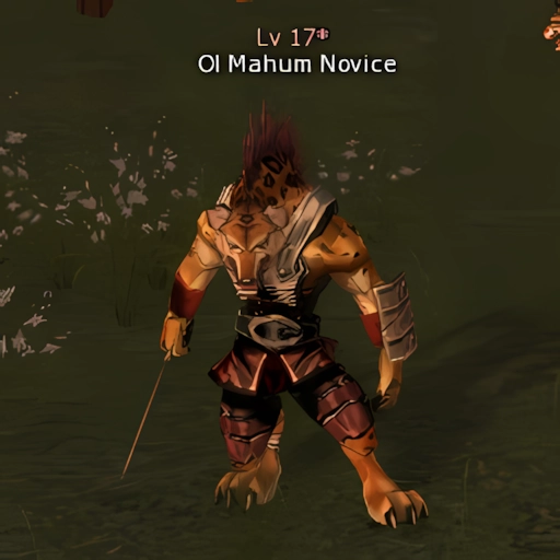 Ol Mahum Novice