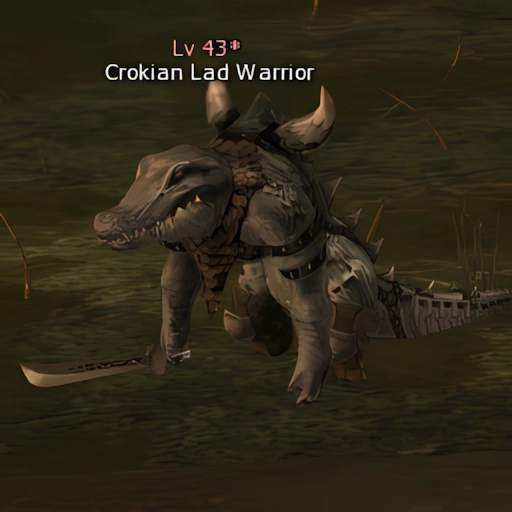 Crokian Lad Warrior