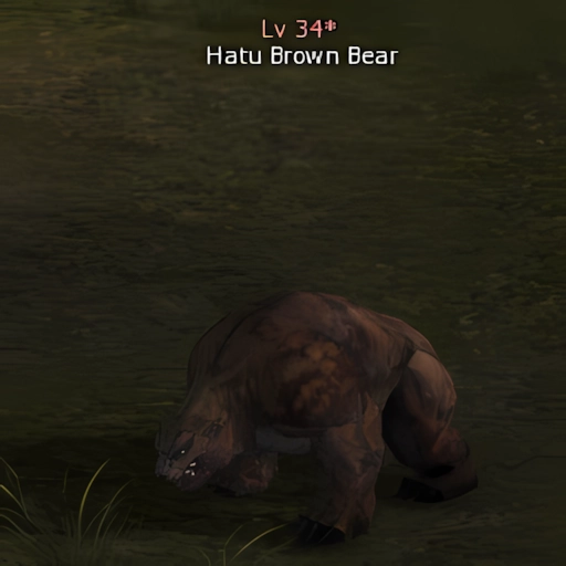 Hatu Brown Bear