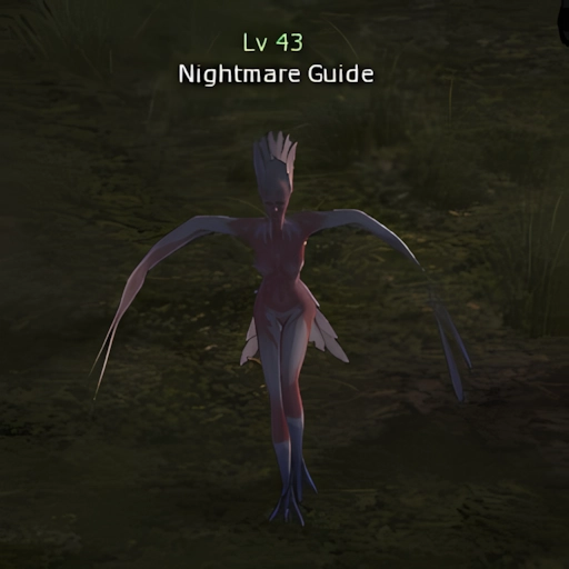 Nightmare Guide