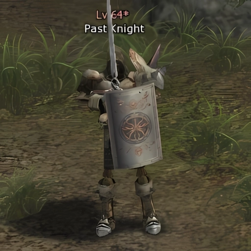 Past Knight