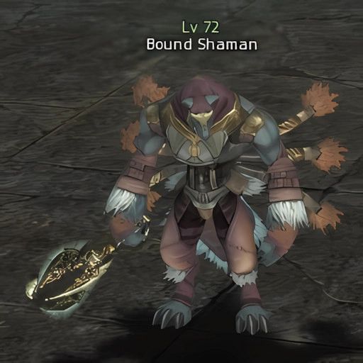 Bound Shaman