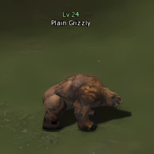 Plain Grizzly