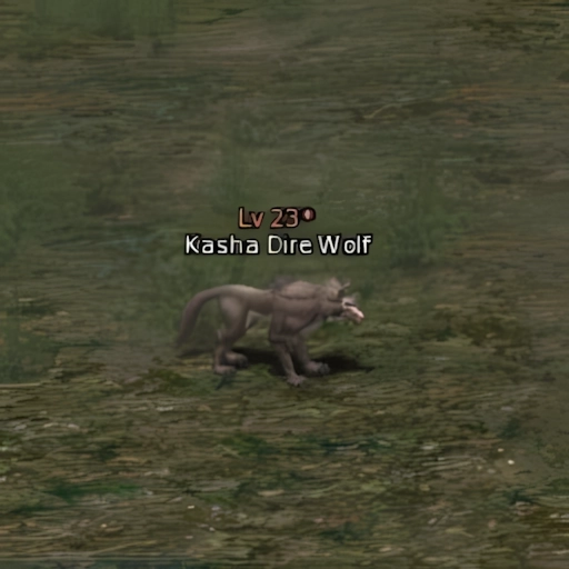 Kasha Dire Wolf