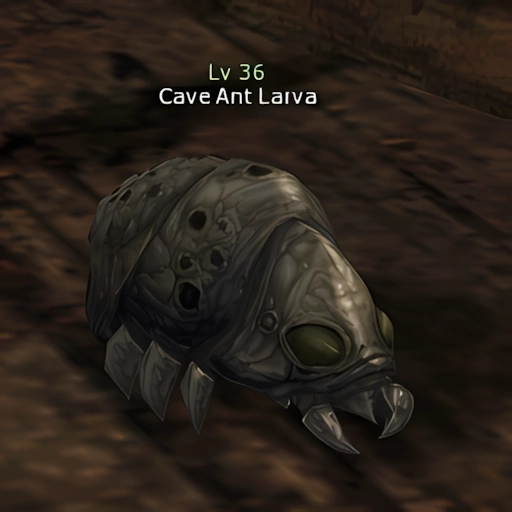 Cave Ant Larva