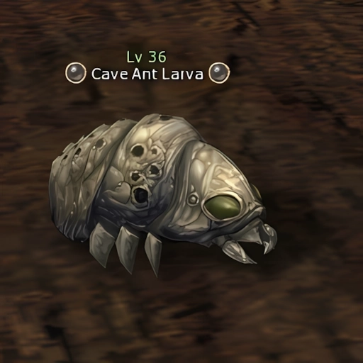Cave Ant Larva