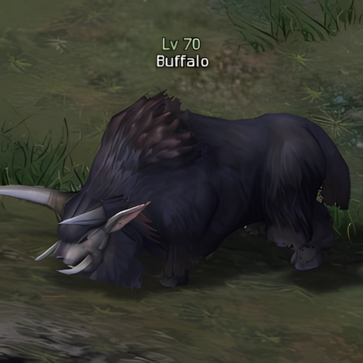 Buffalo