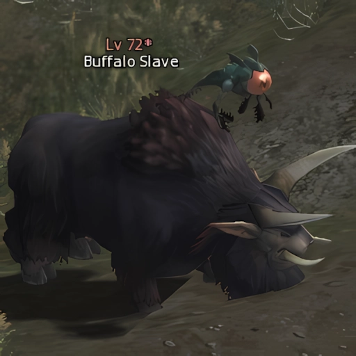 Buffalo Slave