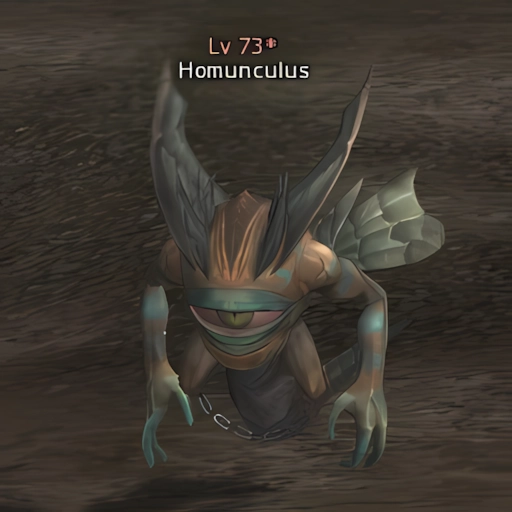 Homunculus