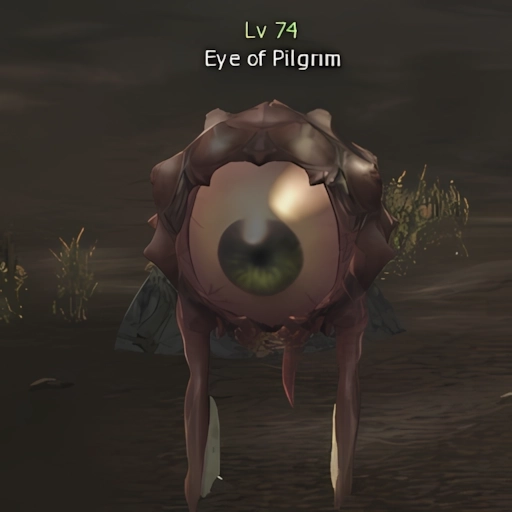 Eye of Pilgrim