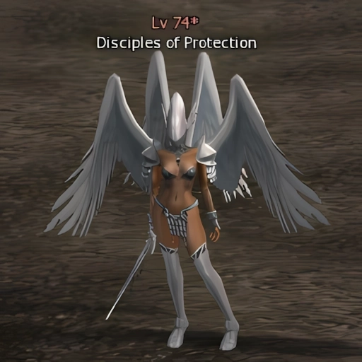 Disciples of Protection