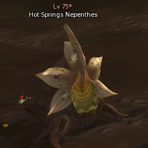 Hot Springs Nepenthes