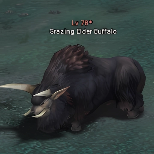 Grazing Elder Buffalo