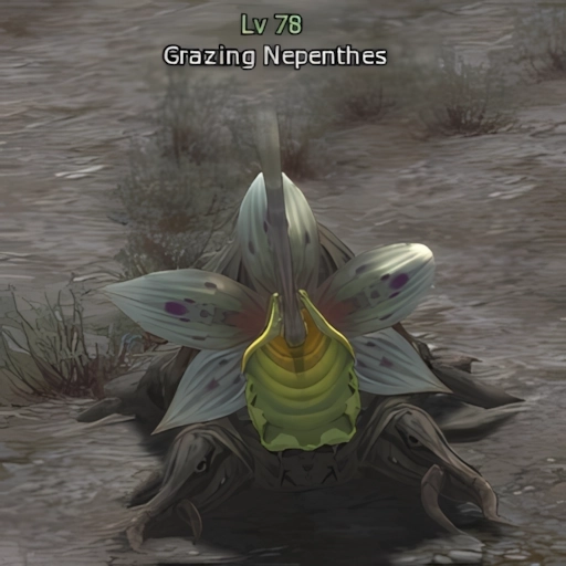 Grazing Nepenthes