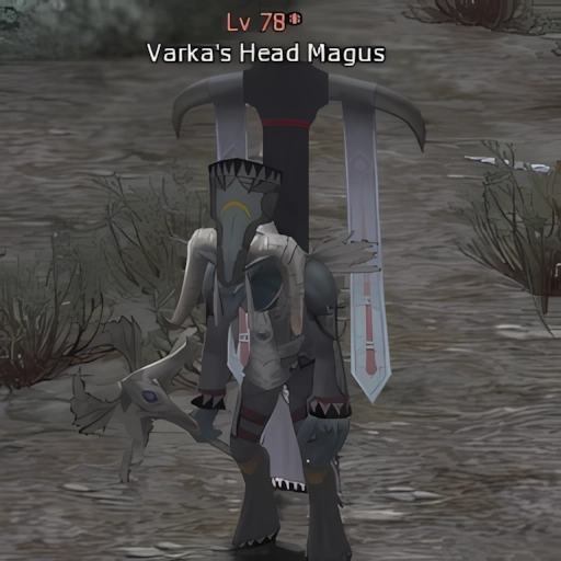 Varka's Head Magus