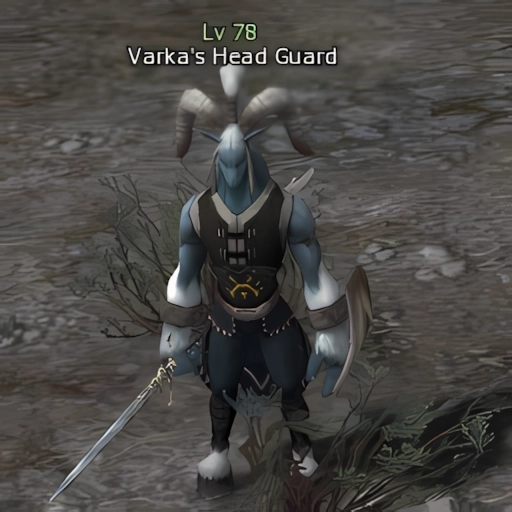 Varka's Head Guard