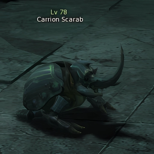 Carrion Scarab