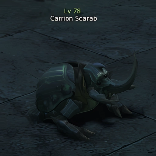 Carrion Scarab