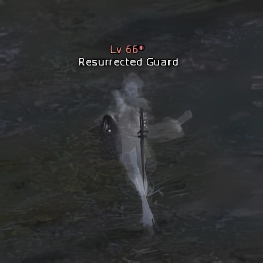 Resurrected Guard