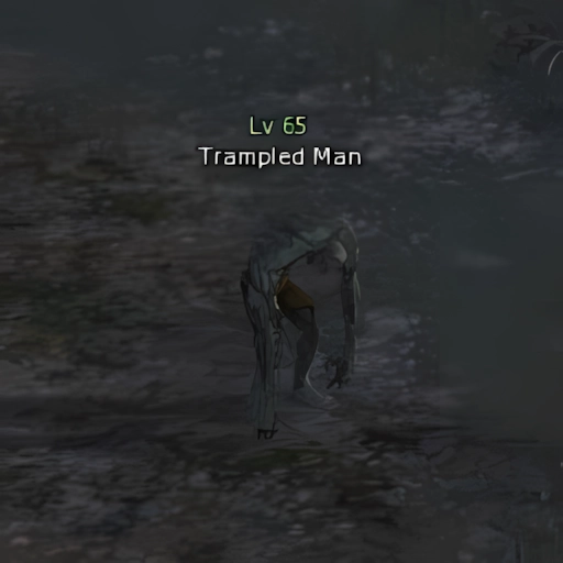 Trampled Man