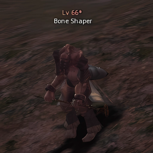 Bone Shaper