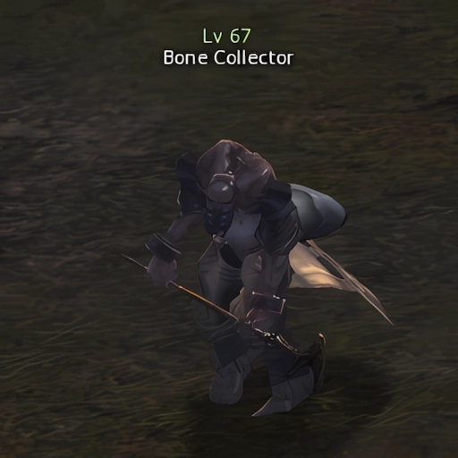 Bone Collector