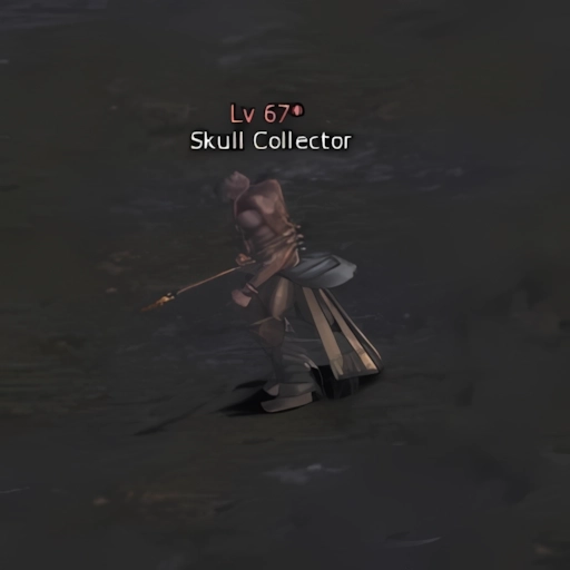 Skull Collector