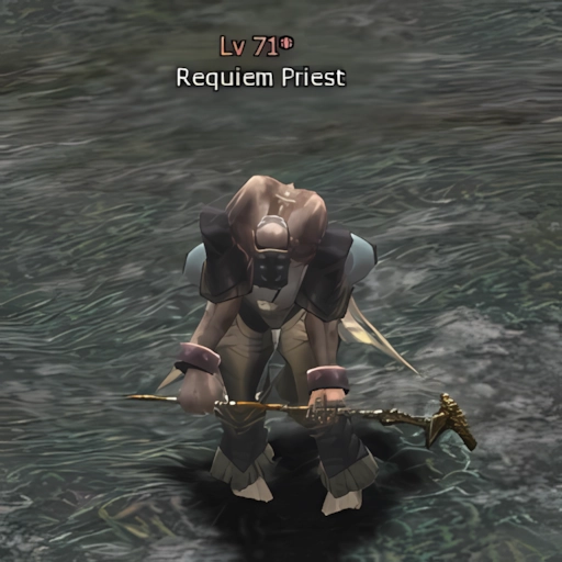 Requiem Priest