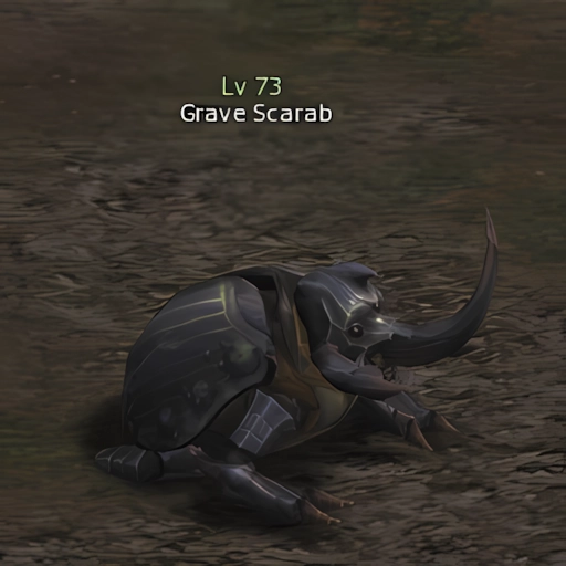 Grave Scarab