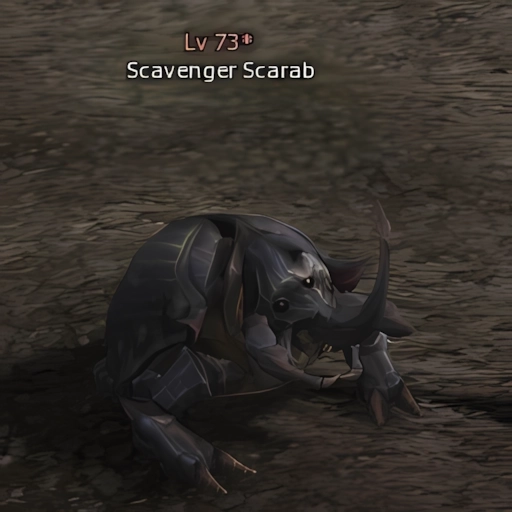 Scavenger Scarab