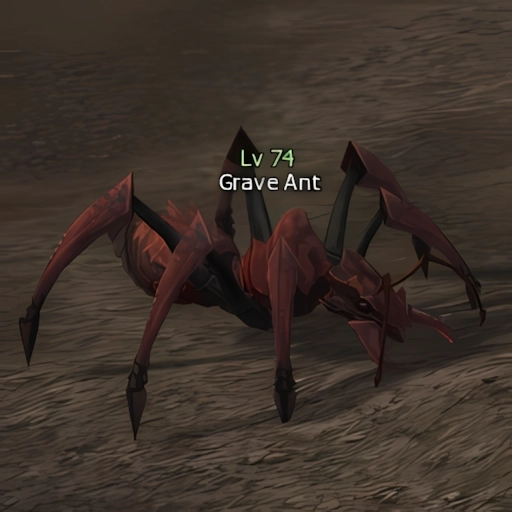 Grave Ant