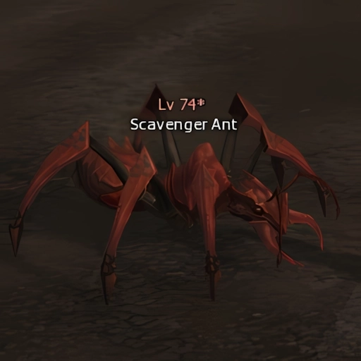 Scavenger Ant