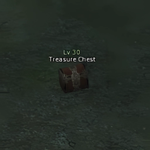 Treasure Chest