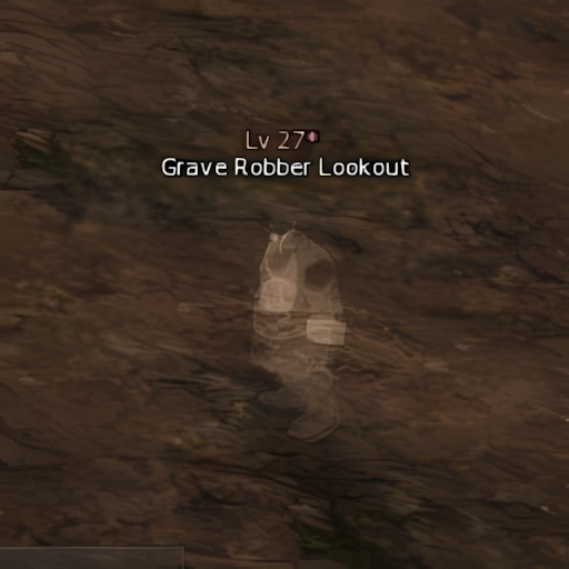Grave Robber Lookout
