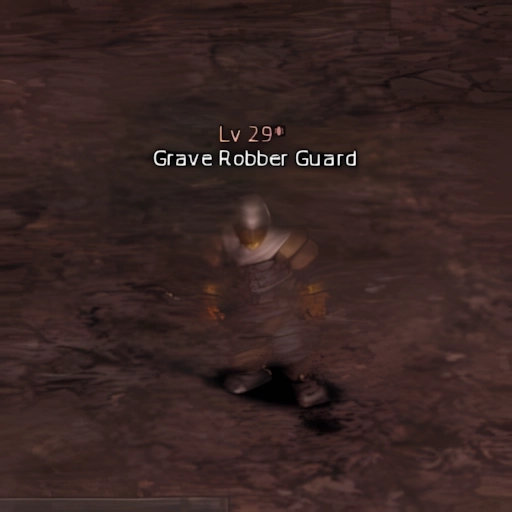 Grave Robber Guard