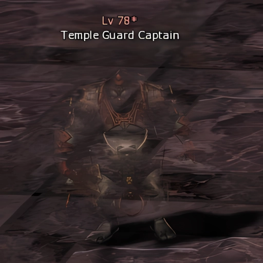 Temple Guard Captain