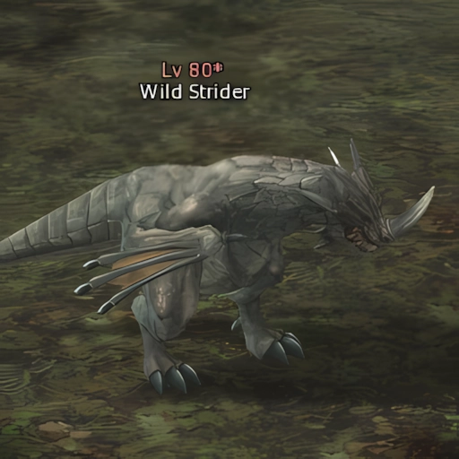 Wild Strider
