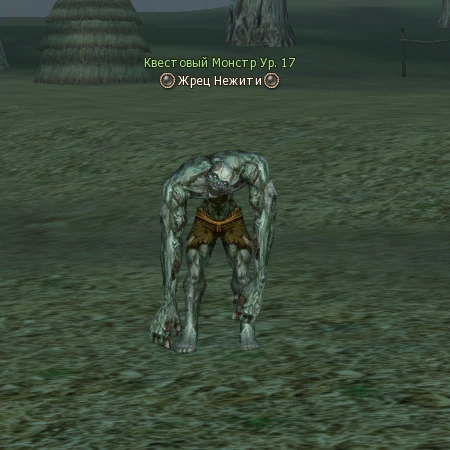 Undead Priest
