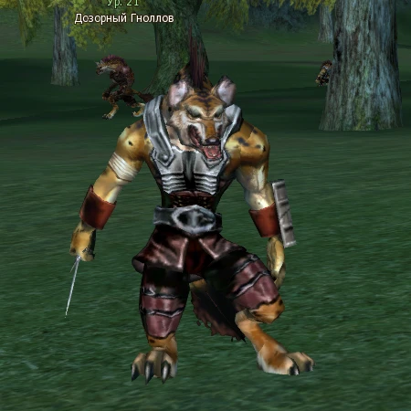 Cat's Eye Bandit