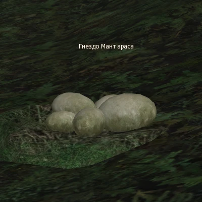Mantarasa Egg